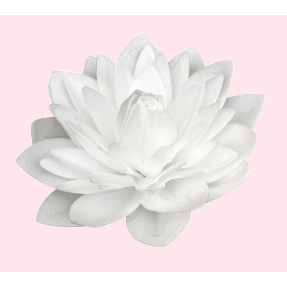Ostyavirág &quot;Óriás Dália&quot; fehér, 13 cm